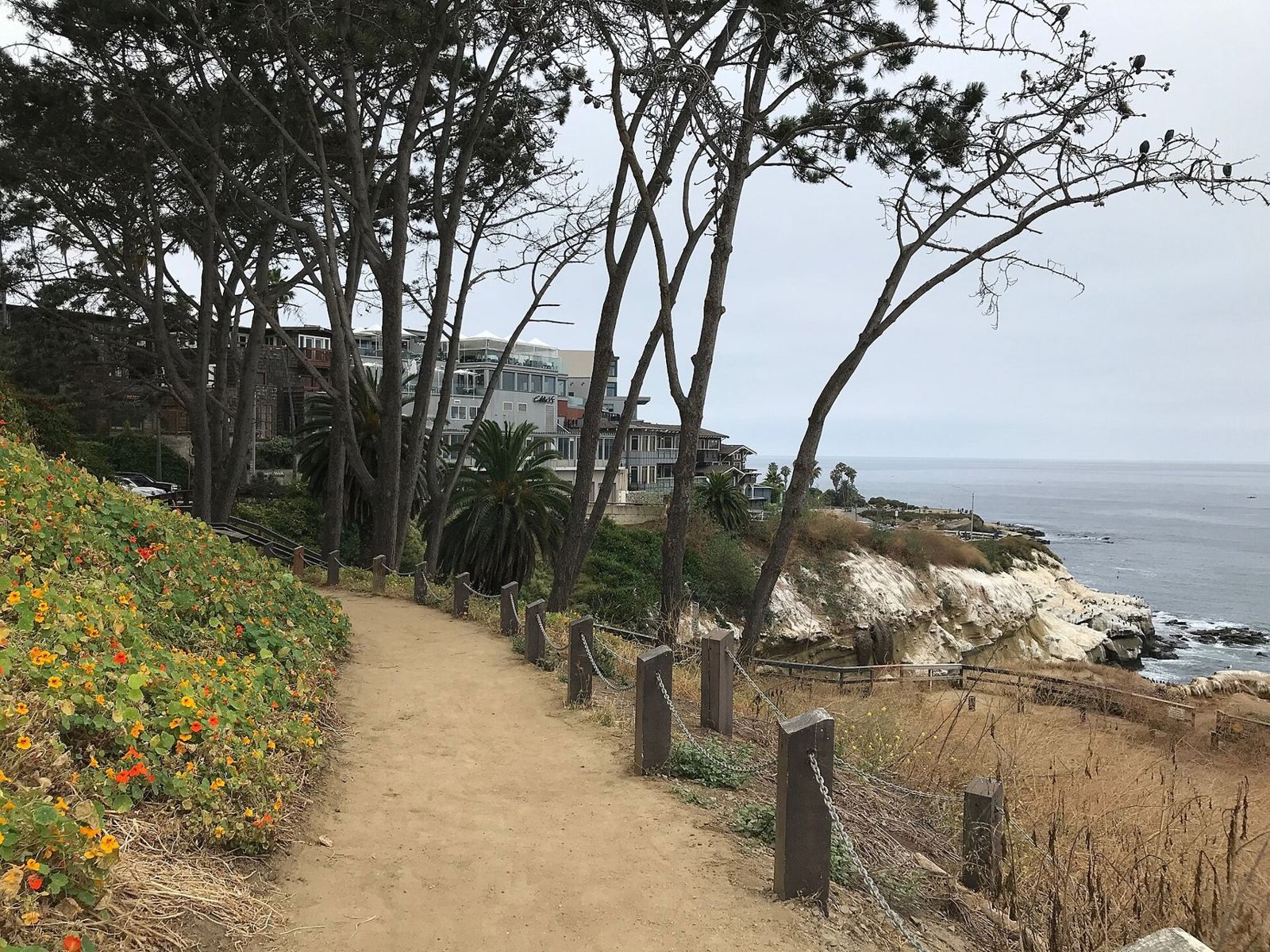 Coast Walk trail above La Jolla Cove